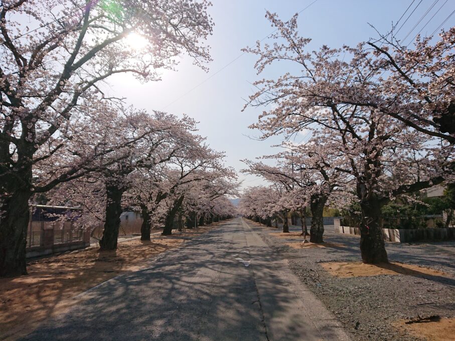 もうすぐ咲く春の便り