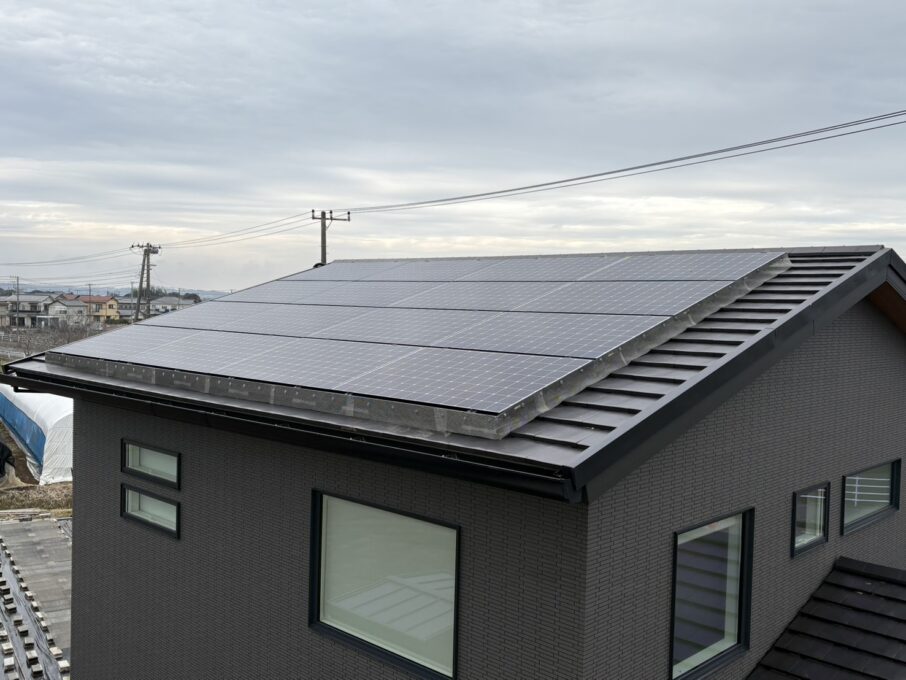 放置は厳禁！太陽光パネル下の「鳩」にお困りではありませんか？