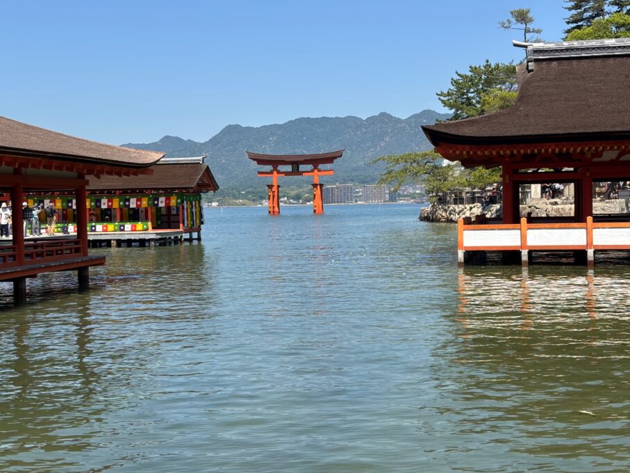 世界遺産・宮島で心洗われる時間⛩️