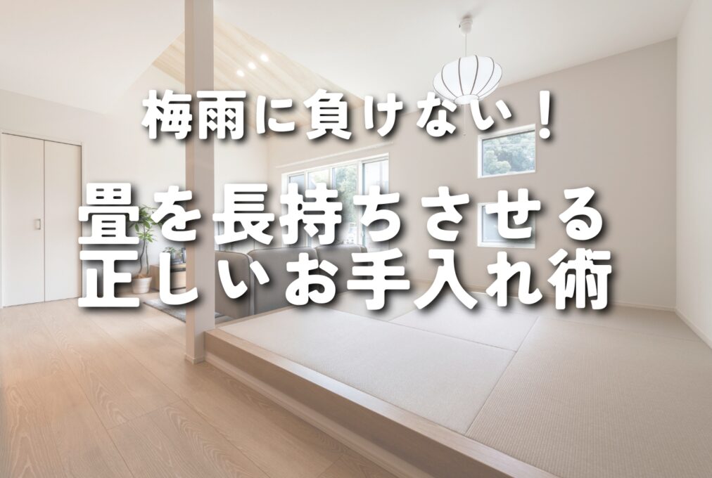 梅雨に負けない！畳を長持ちさせる正しいお手入れ術