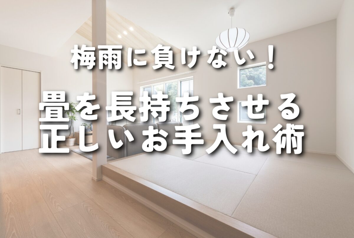 【NEW】梅雨に負けない！畳を長持ちさせる正しいお手入れ術