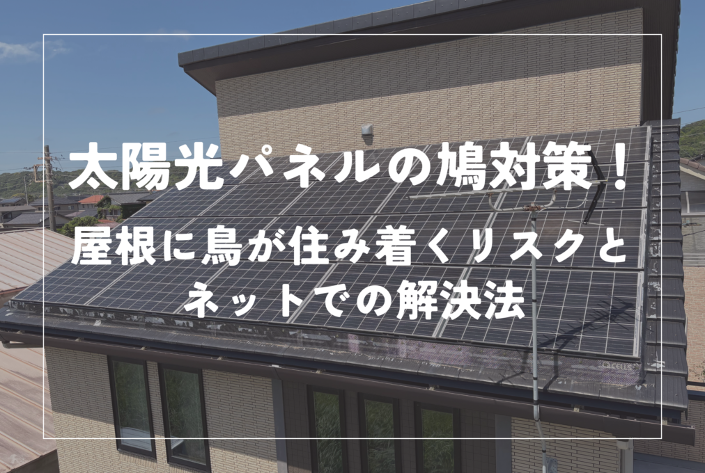 太陽光パネルの鳩対策！屋根に鳥が住み着くリスクとネットでの解決法